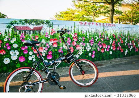 台灣台南學甲蜀葵花田Asia Taiwan flowers 台灣台南學甲蜀葵花田Asia Taiwan flowers 31312066