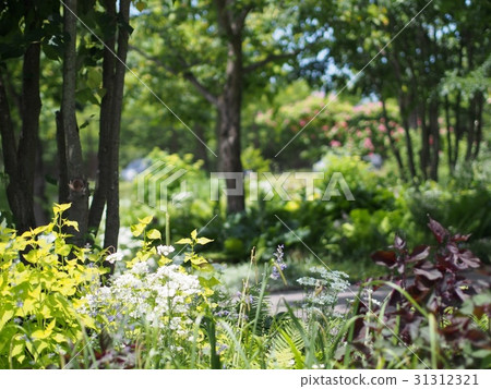 English garden English garden 31312321