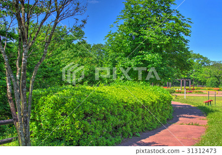自然公園HDR 自然公園HDR 31312473