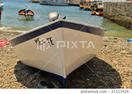 海灘上的小船 31313426