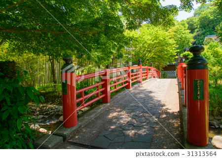 Shuzenji Shrine of Izu, Kaigawa River bridge 31313564