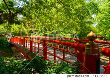 伊豆的修善寺,開川河橋 伊豆的修善寺,開川河橋 31313565