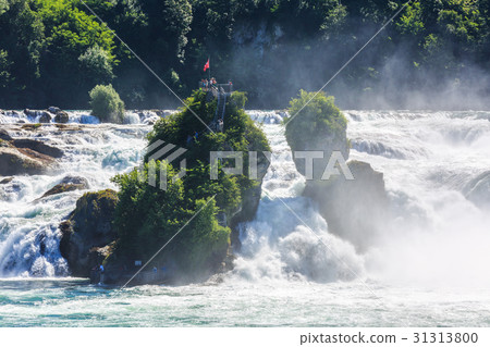 View of Rhine falls (Rheinfalls). 31313800