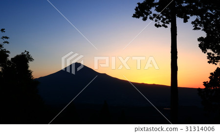 從白鳥山到富士山和晨光 31314006