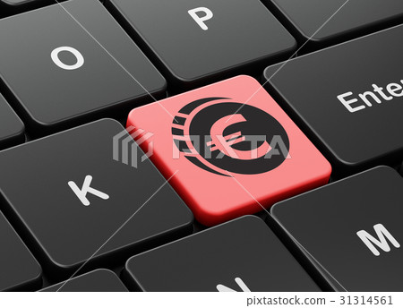 Money concept: Euro Coin on computer keyboard Money concept: Euro Coin on computer keyboard 31314561