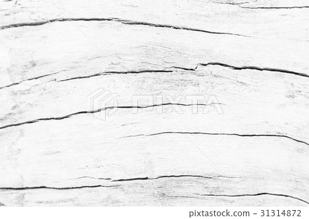 Abstract surface white wood table texture Abstract surface white wood table texture 31314872