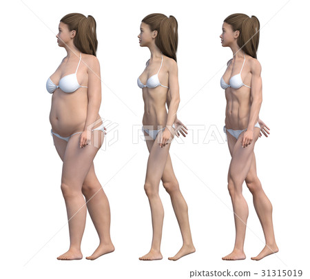 Diet image Before after After perming3dCG illustration material Diet image Before after After perming3dCG illustration material 31315019