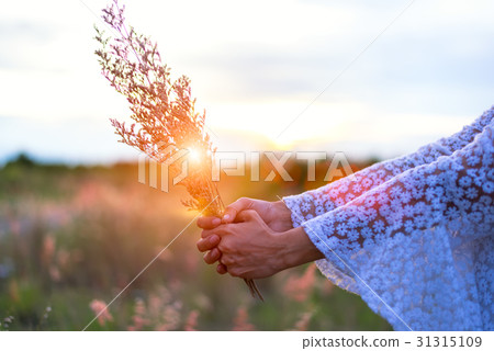 Woman in meadow. travel and sunset Woman in meadow. travel and sunset 31315109