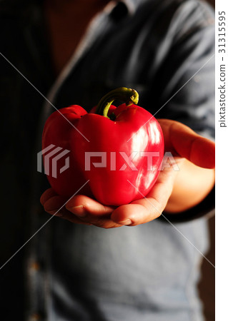 Sweet pepper on hand Sweet pepper on hand 31315595