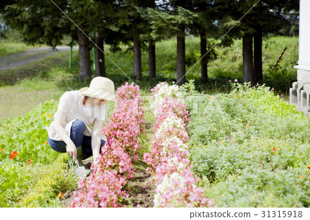 園藝女孩 31315918