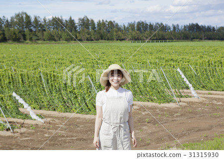 A yam yogurt field long bamboo 31315930