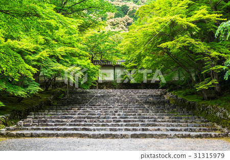 Kyoto Sagano Nobunaga 31315979