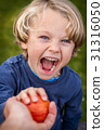 blonde blue eyed child reaching out for an apple  31316050