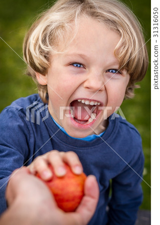 blonde blue eyed child reaching out for an apple blonde blue eyed child reaching out for an apple 31316050
