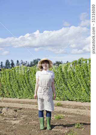 山藥酸奶領域長竹 31316080