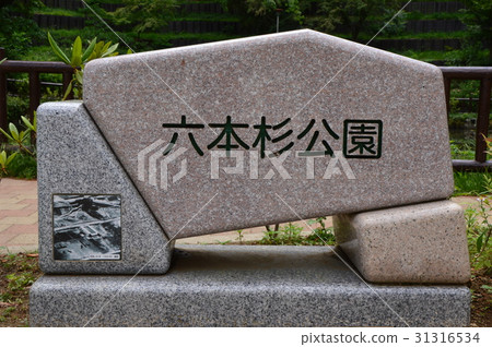 Roppoto雪松公園八王子市的初夏就是這樣 31316534
