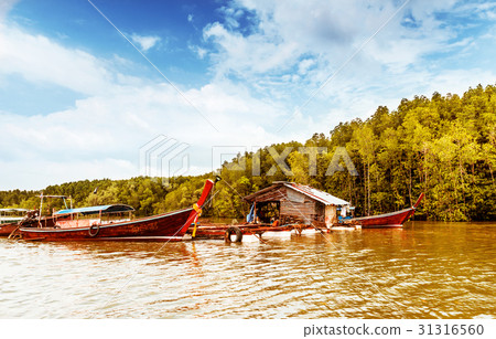 Wooden longtail boat Pak Nam Krabi river Thailand Wooden longtail boat Pak Nam Krabi river Thailand 31316560
