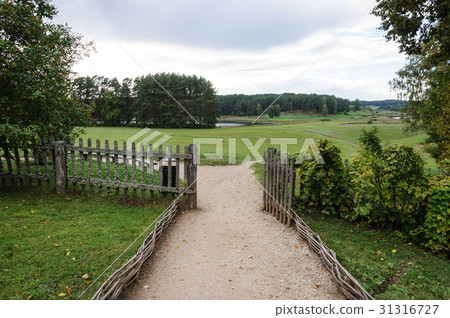 Country landscape with meadow and forest Country landscape with meadow and forest 31316727