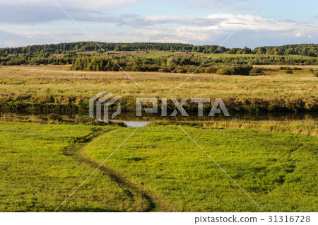 Summer rural landscape with meadow and small river Summer rural landscape with meadow and small river 31316728