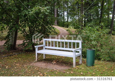 White wooden bench in park White wooden bench in park 31316761