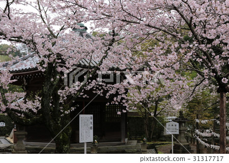 Kokawadera Kokawadera 31317717