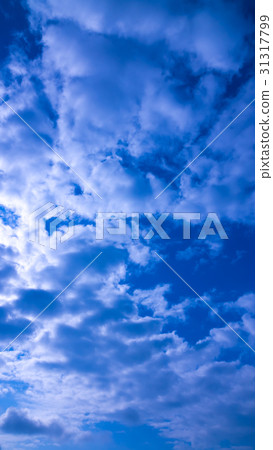 Sky and clouds in June (vertical) Sky and clouds in June (vertical) 31317799