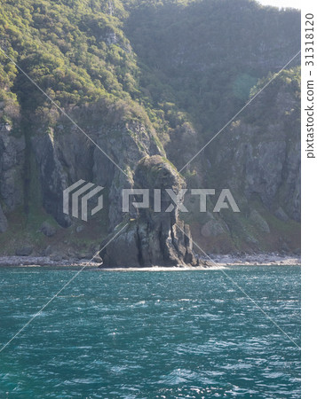 知床半島的海 知床半島的海 31318120