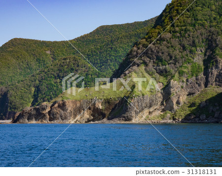 知床半島的海 31318131