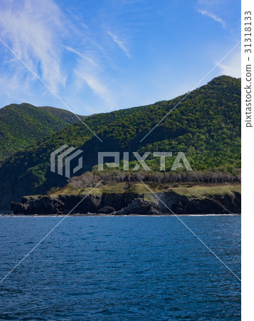 知床半島的海 31318133