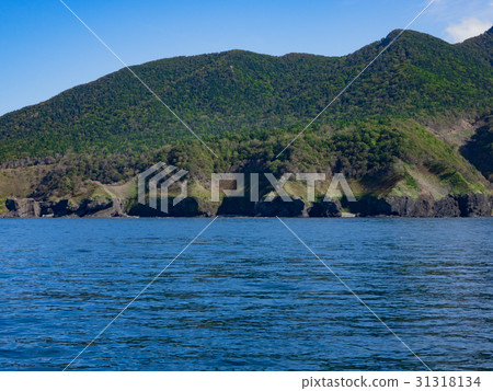 知床半島的海 31318134