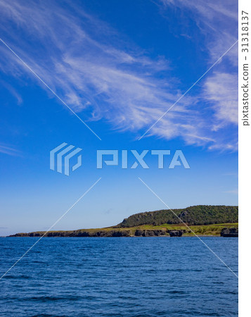 知床半島的海 知床半島的海 31318137
