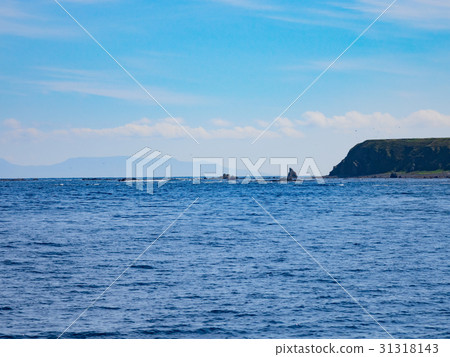 知床半島的海 31318143