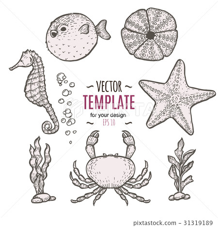 圖庫插圖: hand drawn sea life illustration. sketch template