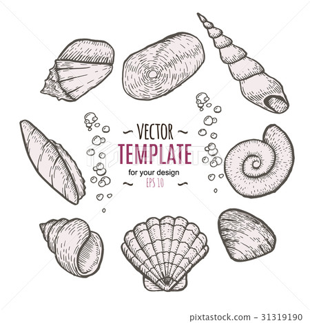 Seashell collection hand drawn aquatic doodle Seashell collection hand drawn aquatic doodle 31319190