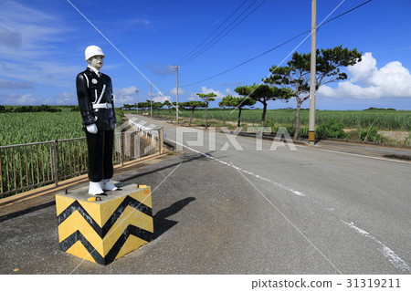 Mamoru Miyakojima 31319211