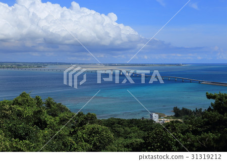 Irabu Ohashi Irabu Ohashi 31319212