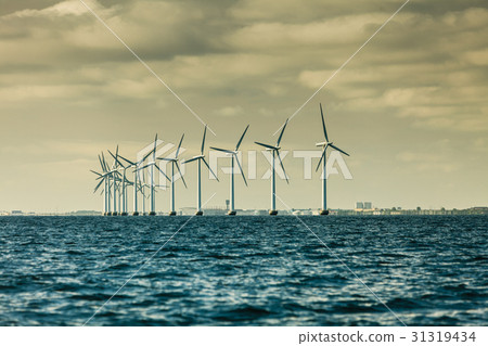 Wind turbines farm in Baltic Sea, Denmark 31319434