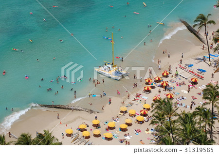 Futaba type yacht = Catamaran and beach umbrella flowers 31319585