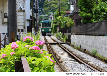 Hydrangea Railway Tour Local Line Single Line Stock Photo