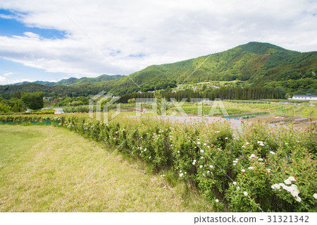 Beautiful landscape of Takayama mura 31321342