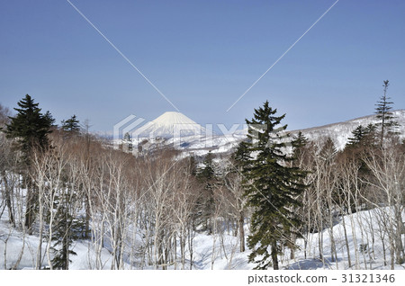 Nakayama Pass 31321346