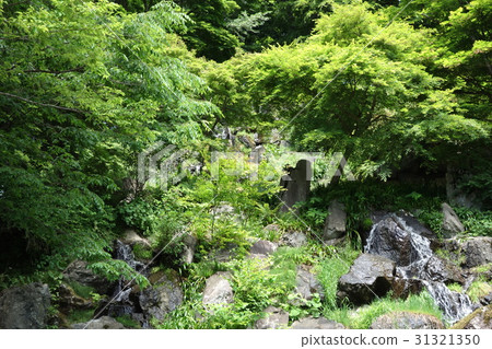 在吉祥寺的龍瀑布 在吉祥寺的龍瀑布 31321350