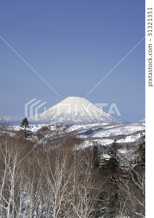 羊蹄山 羊蹄山 31321351