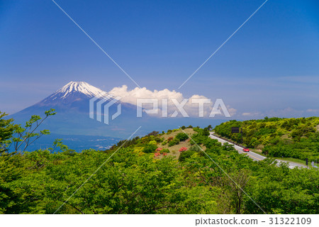 富士山看法從杜娟花開花的伊豆地平線路的 31322109