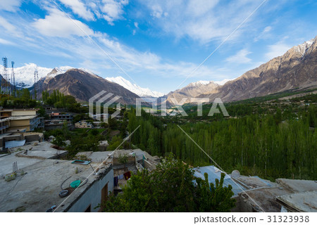 Hunza Kalimbaad 31323938