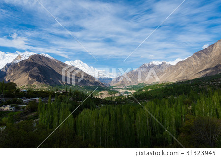 Hunza Kalimbaad 31323945