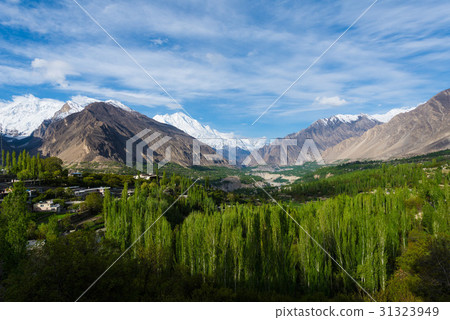 Hunza Kalimbaad 31323949