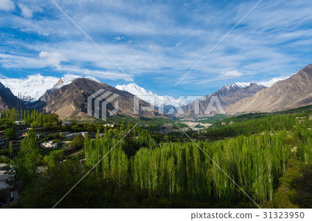 Hunza Kalimbaad 31323950