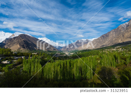 Hunza Kalimbaad 31323951