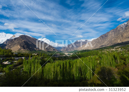 Hunza Kalimbaad 31323952